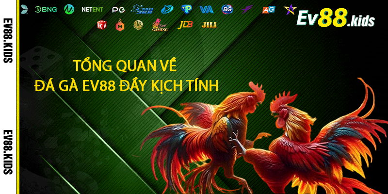 Tổng quan về Đá gà EV88 đầy kịch tính